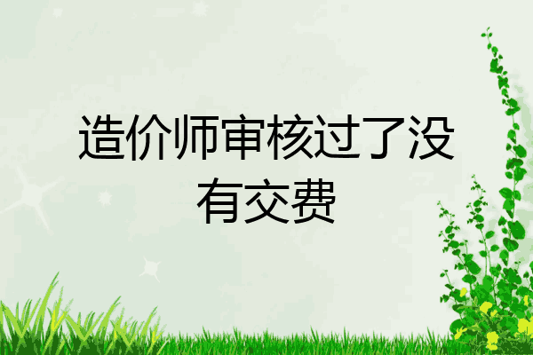 造价师审核过了没有交费