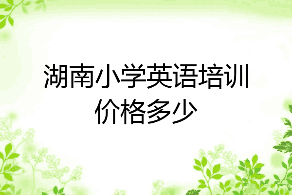 湖南小学英语培训价格多少