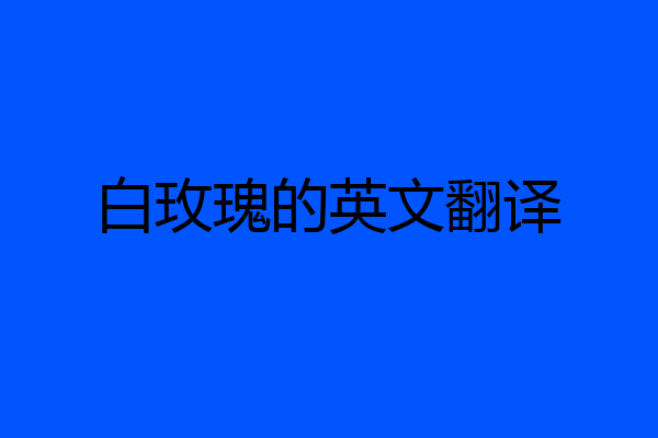 白玫瑰的英文翻译