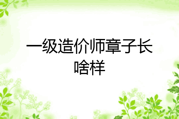 一级造价师章子长啥样