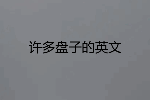 许多盘子的英文