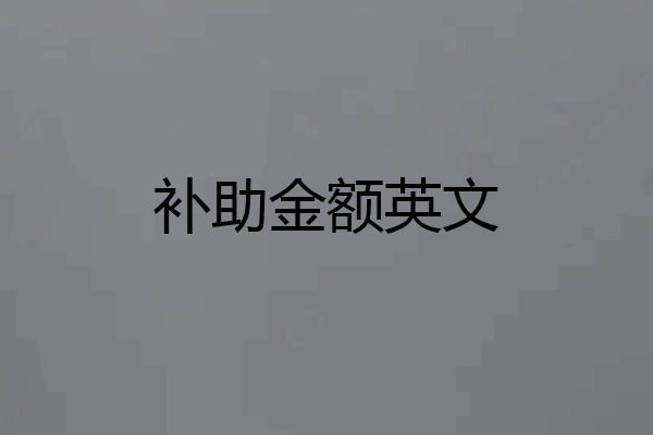 补助金额英文