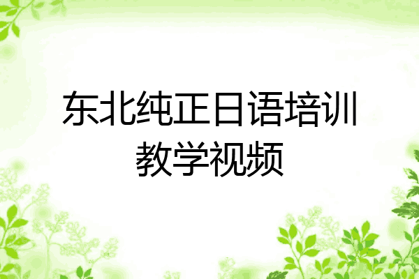 东北纯正日语培训教学视频