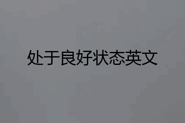 处于良好状态英文