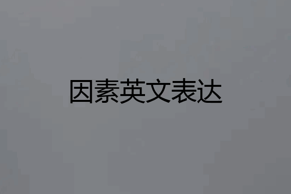 因素英文表达