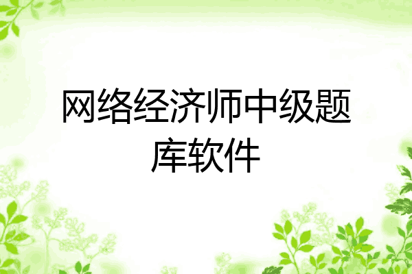 网络经济师中级题库软件