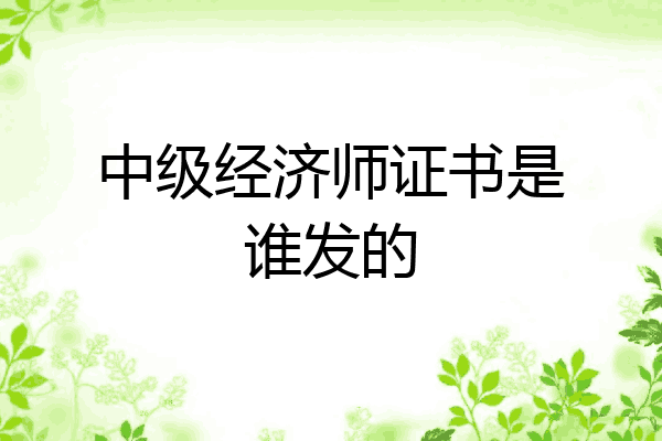 中级经济师证书是谁发的