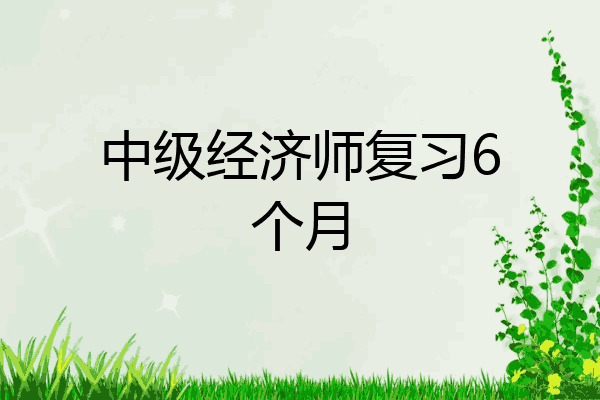 中级经济师复习6个月