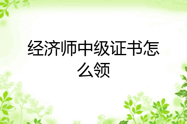 经济师中级证书怎么领