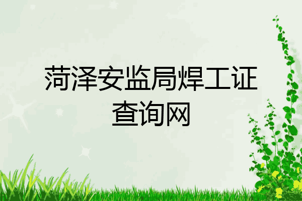 菏泽安监局焊工证查询网
