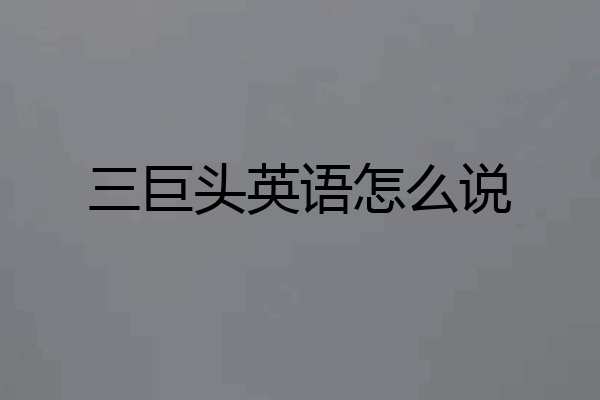 三巨头英语怎么说