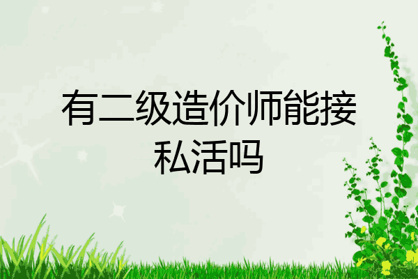 有二级造价师能接私活吗