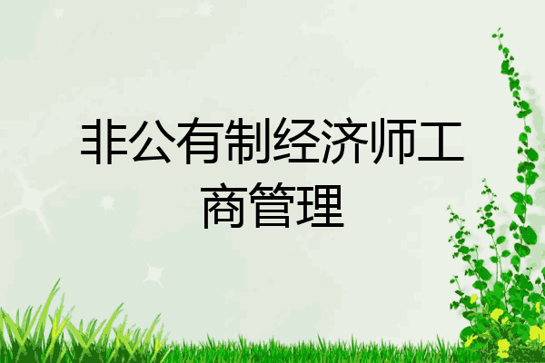 非公有制经济师工商管理