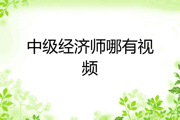 中级经济师哪有视频