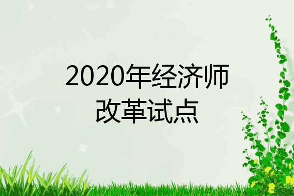 2020年经济师改革试点