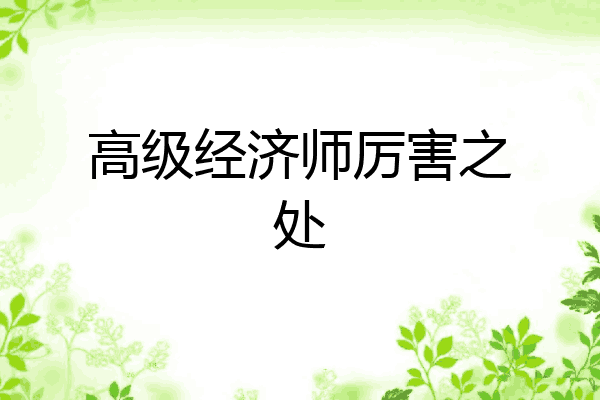 高级经济师厉害之处