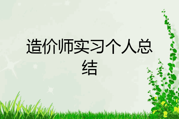 造价师实习个人总结