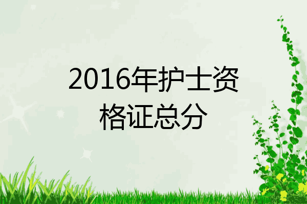 2016年护士资格证总分