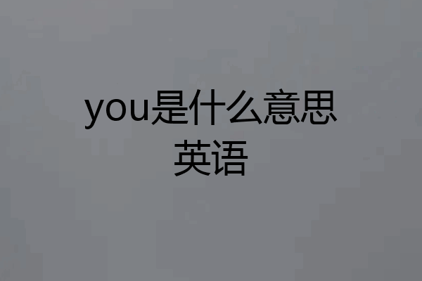 you是什么意思英语