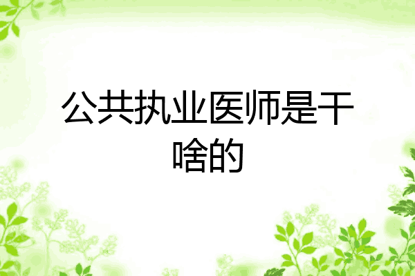 公共执业医师是干啥的