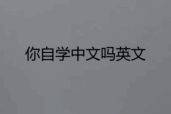 你自学中文吗英文