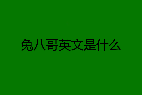 兔八哥英文是什么