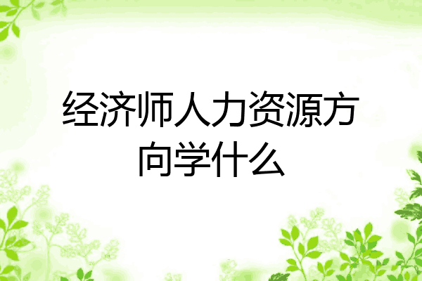 经济师人力资源方向学什么