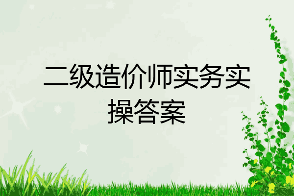 二级造价师实务实操答案
