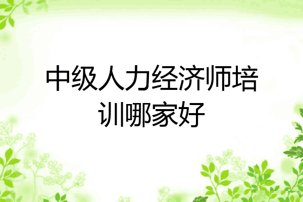 中级人力经济师培训哪家好