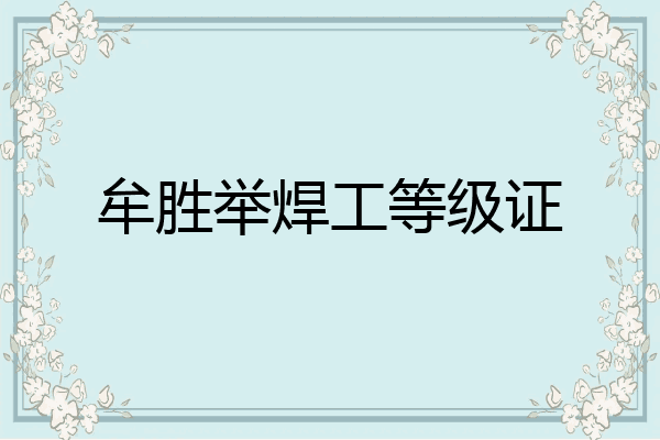 牟胜举焊工等级证