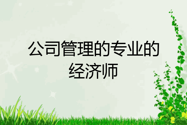 公司管理的专业的经济师