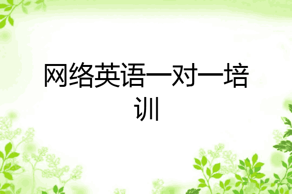 网络英语一对一培训