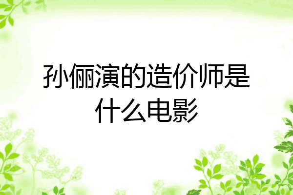 孙俪演的造价师是什么电影
