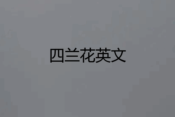 四兰花英文
