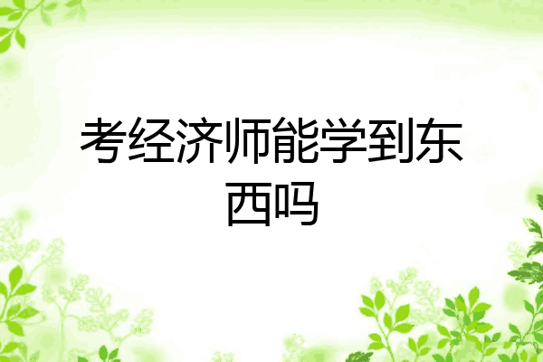 考经济师能学到东西吗