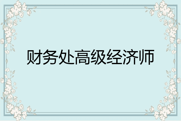 财务处高级经济师