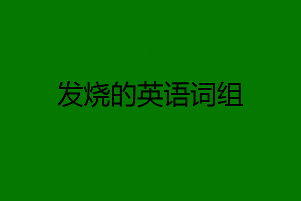发烧的英语词组