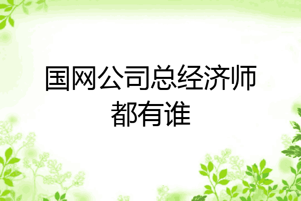 国网公司总经济师都有谁