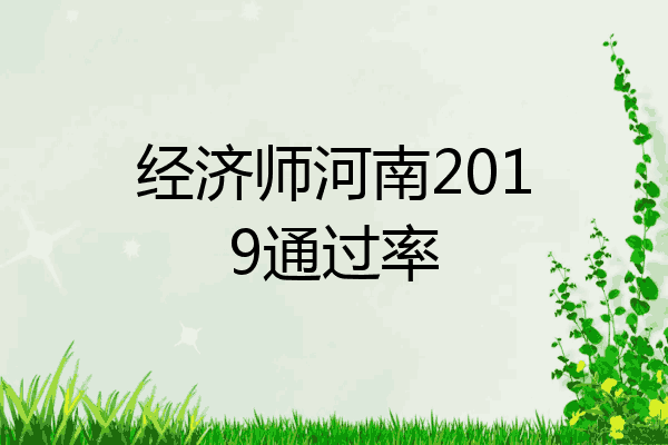 经济师河南2019通过率