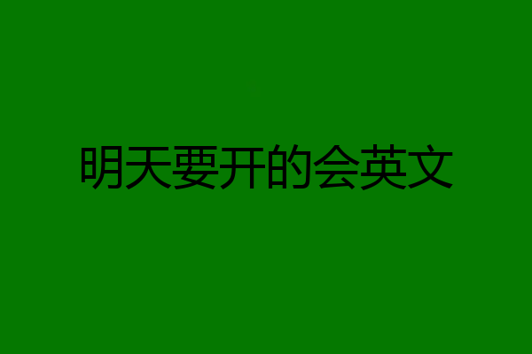 明天要开的会英文