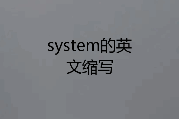 system的英文缩写