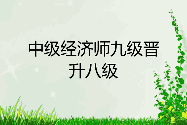 中级经济师九级晋升八级