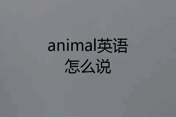 animal英语怎么说