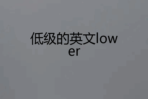 低级的英文lower