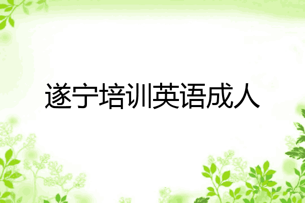 遂宁培训英语成人