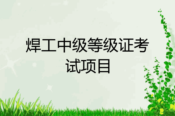 焊工中级等级证考试项目