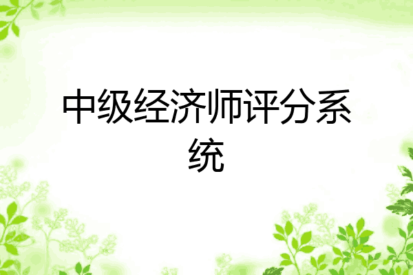 中级经济师评分系统