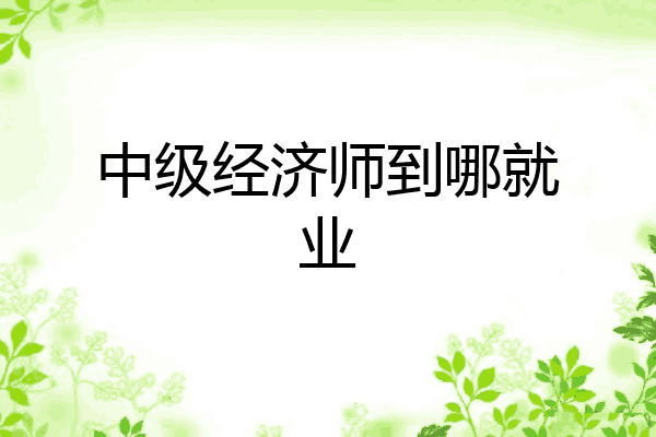 中级经济师到哪就业