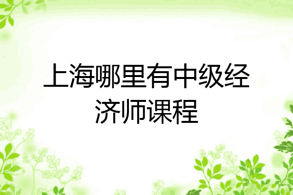 上海哪里有中级经济师课程