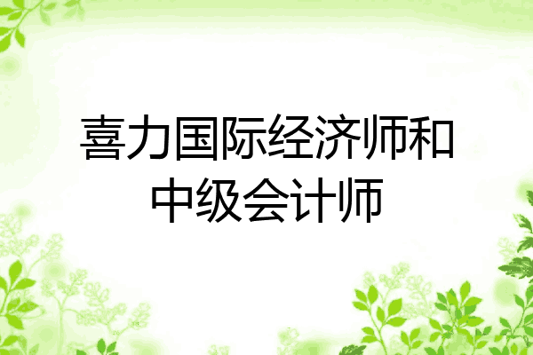 喜力国际经济师和中级会计师